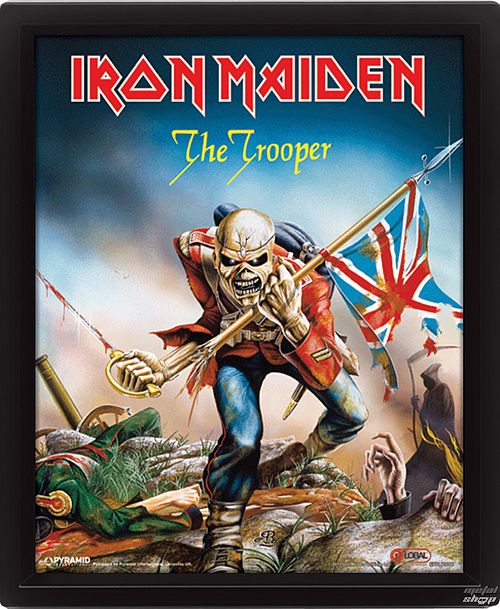 3D obraz Iron Maiden - The Trooper - EPPL71086