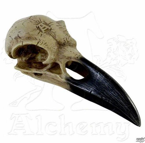 dekorácia ALCHEMY GOTHIC - Corvus Alchemica - V16