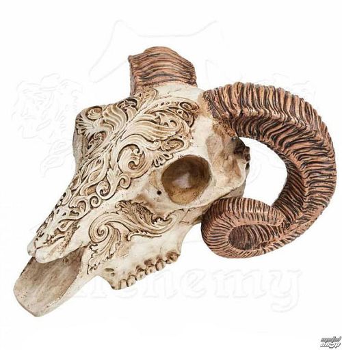 dekorácia ALCHEMY GOTHIC - Skrimshaw Ram Skull - V53