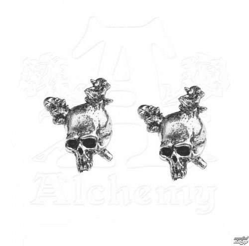náušnice Metallica - Damage - ALCHEMY GOTHIC - PE2