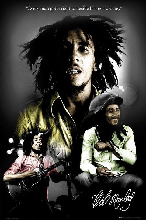 plagát - BOB MARLEY destiny - LP1328 - GB posters