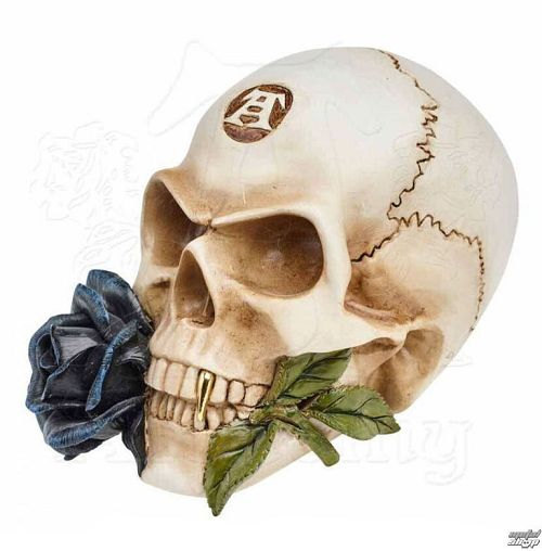 dekorácia ALCHEMY GOTHIC - Alchemist Skull with Rose - V44