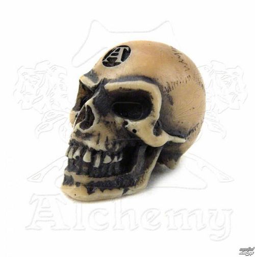 dekorácia Alchemy Gothic - Lapillus Worry Skull - V2
