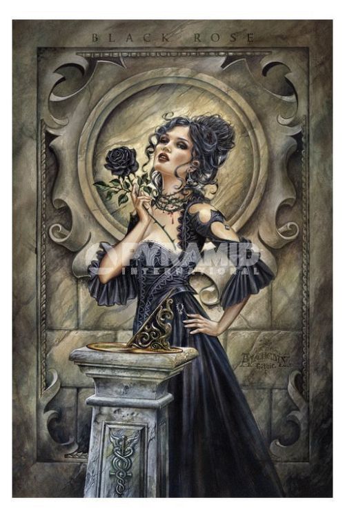 plagát Alchemy (Black Rose) - PP31978 - PYRAMID POSTERS
