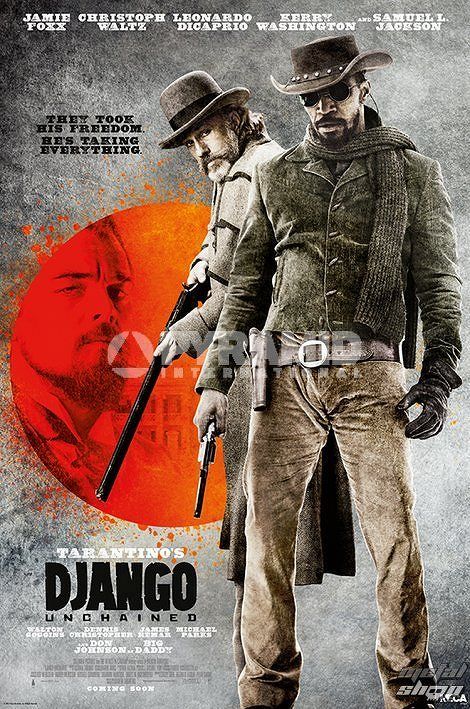 plagát Django Unchained - They Took His Free - Pyramid Posters - PP33034