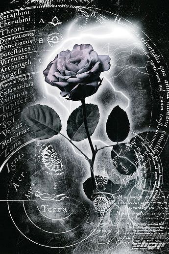 plagát Mercury Rose - REINDERS 14811