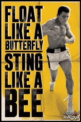 plagát Muhammad Ali - Float Like A Butterfly - PYRAMID POSTERS - PP31685