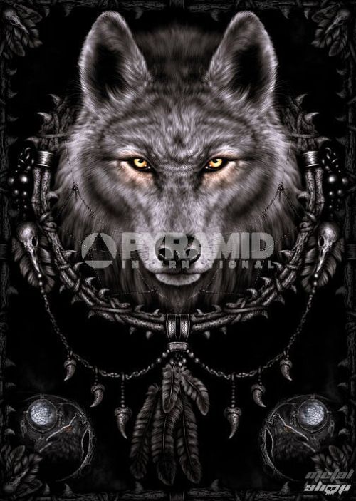 plagát Wolf Dreams - Pyramid Posters - PP32544