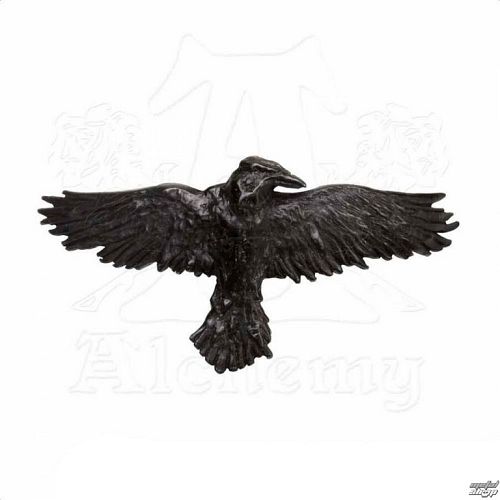 sponka ALCHEMY GOTHIC - Raven - HH10
